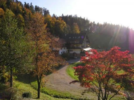 Md Waldhotel Palmspring Bad Peterstal-Griesbach Exteriör bild