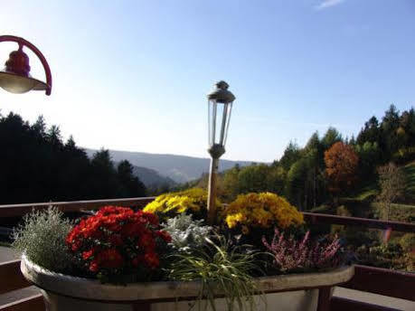 Md Waldhotel Palmspring Bad Peterstal-Griesbach Exteriör bild